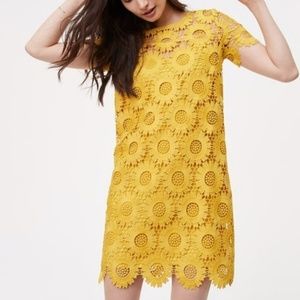 LOFT Lace Sunflower Dress - Size 8
